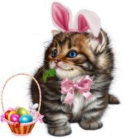 cute easter kitty